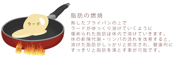 脂肪の燃焼
熱したフライパンの上でラードがゆっくりとけていくように暖められた脂肪は体内で溶けていきます。
体の新陳代謝・リンパの流れを改善すると、溶けた脂肪がしっかりと排泄され、健康的にすっきりと脂肪を落とすことが可能です。